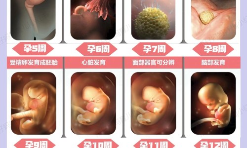 怎么防止婴儿吃手指抓破鼻子呢-什么可预防婴儿吃手网 :分享如何防止宝宝吃奶咬人-预防婴儿吃手的正确措施是什么知识